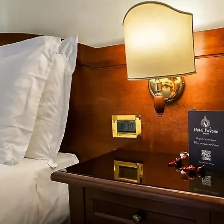 Hotel Pavone-3